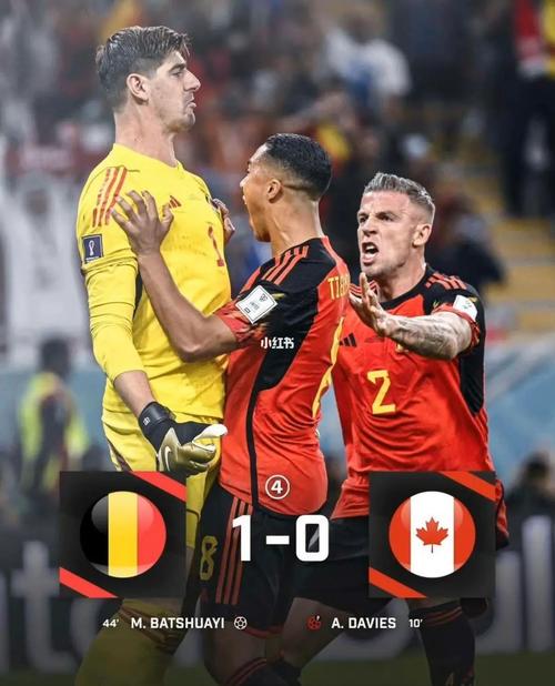 比利时vs加拿大